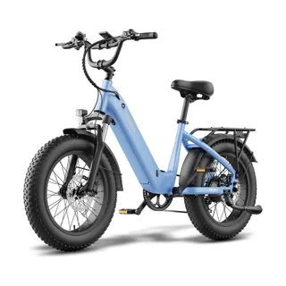 Vélo électrique FAFREES F20 ROVER-15AH