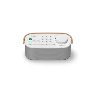 Enceinte TV portable SONY SRS-LSR200