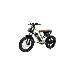 Vélo électrique ONESPORT W66