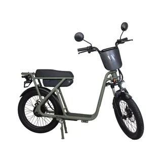 Draisienne électrique WISPEED WIMOB Plus Kaki - Homologuée