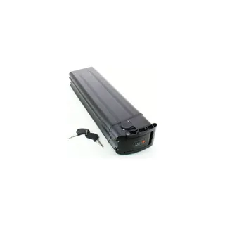 Batterie ESSENTIELB 9012299