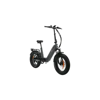 Vélo électrique TT GO F6 PRO
