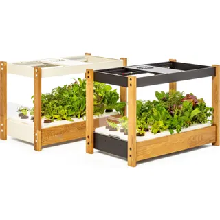 Jardin d'intérieur CLICK AND GROW Module principal 25, blanc