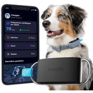 Collier GPS INVOXIA Minitailz pour chien