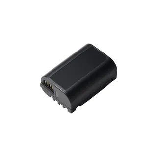 Batterie appareil photo PANASONIC pour lumix S5