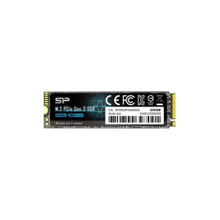 Disque SSD interne SILICON POWER Disque SSD M2 2280 256Go A60