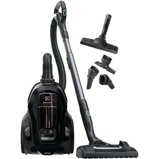 Aspirateur sans sac ELECTROLUX Pure C9 PC91-Green