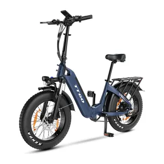 Vélo électrique TT GO F6