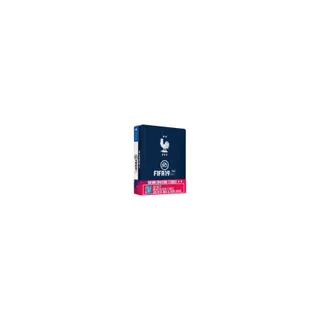 Jeu PS4 ELECTRONIC ARTS FIFA 19 Edition 2 étoiles