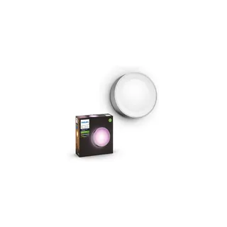 Luminaire PHILIPS HUE W&C DAYLO 15W Inox