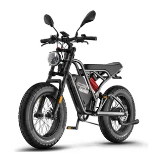 Vélo électrique FAFREES F20 Ultra-Oil-Certificated