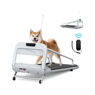 Tapis de marche FORMILL tapis roulant pour animaux