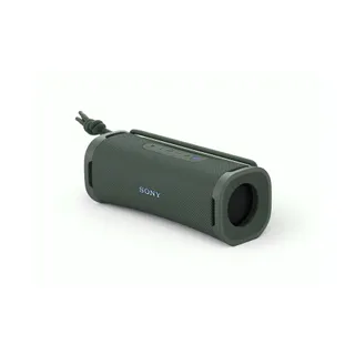 Enceinte portable SONY ULT FIELD 1 Gris Foret