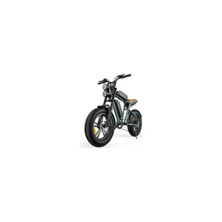 Vélo électrique ENGWE M20-13AH
