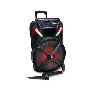 Enceinte sono FESTISOUND FESTI15