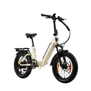 Vélo électrique TT GO F7
