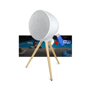 Enceinte nomade MUSE ML-655 BT - Enceinte portable, 100W