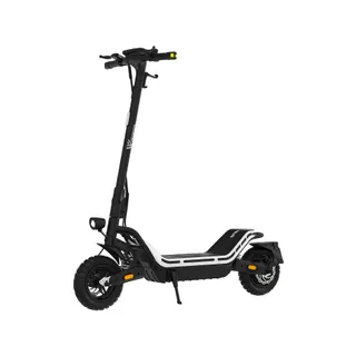 Trottinette électrique WISPEED SUVPILOT 480