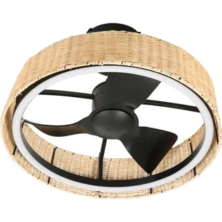 Ventilateur plafonnier FARELEK 112450