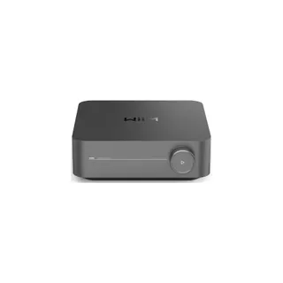 Amplificateur HiFi WIIM amp pro