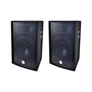 Enceinte sono BM SONIC Enceintes passives 2x300W 30cm