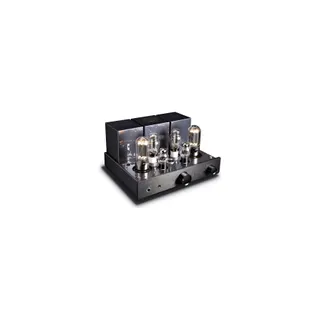 Amplificateur HiFi CAYIN CS-845A Référence Noir