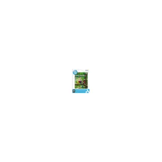 Jeu Wii NINTENDO Pikmin 2