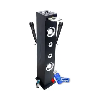 Enceinte Bluetooth INOVALLEY HP49CD-N - 100W - USB BT FM, 2 Micros