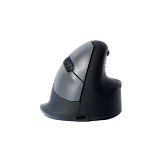 Souris sans fil rechargeable R-GO-TOOLS Souris Ergonomique, droiter, noir