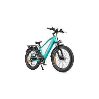Vélo électrique ENGWE E26