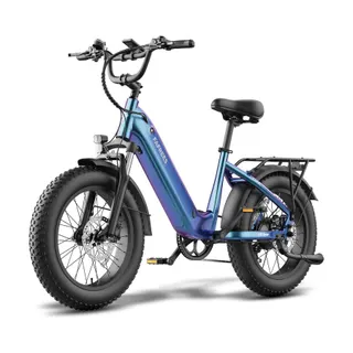 Vélo électrique FAFREES F20 ROVER-20AH