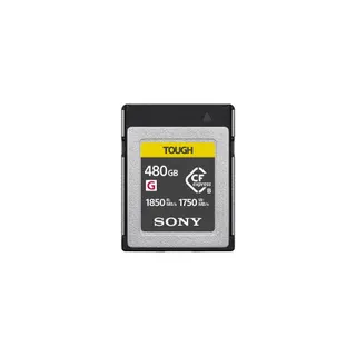 Carte SD SONY 252913