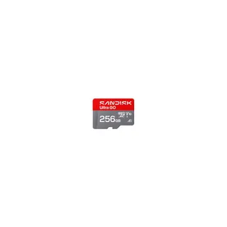Carte Micro SD SANDISK Ultra GO uSD 256Go 190MBs C10 UHS