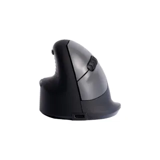 Souris sans fil rechargeable R-GO-TOOLS Souris Ergonomique, gaucher, noir