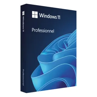 Logiciel de bureautique MICROSOFT Windows 11 Professionnel USB