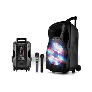 Enceinte sono PARTY LIGHT&SOUND Enceinte 800W LED/USB/BT+2mic sans-fil