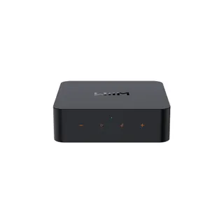 Lecteur réseau HiFi WIIM Pro +