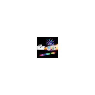 Jeu de lumières IBIZA Machine fumée 400W LED+Jeu Astro/Ufo
