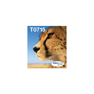 Cartouche d'encre EPSON C13T07154511