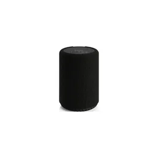 Enceinte portable AUDIO PRO A10 MkII Sans fil - Noir