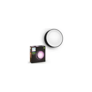 Luminaire PHILIPS HUE W&C DAYLO 15W Noir