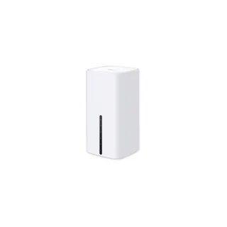 Routeur Wifi TP-LINK Archer NX210 5G