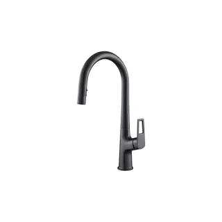 Robinet AVIZAR Extensible à Double Fonction Bec Haut