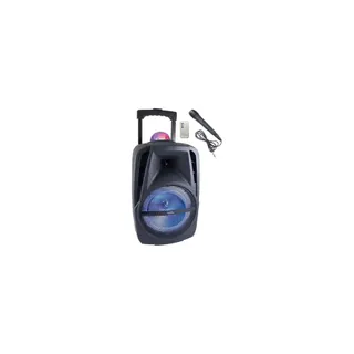 Enceinte nomade BM SONIC KA116BOWL Enceinte Bluetooth 450W -USB-