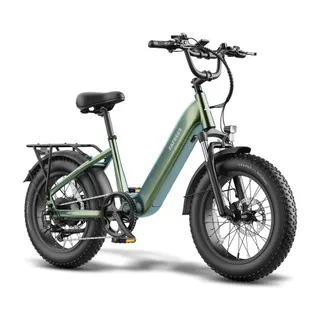 Vélo électrique FAFREES F20 ROVER-15AH