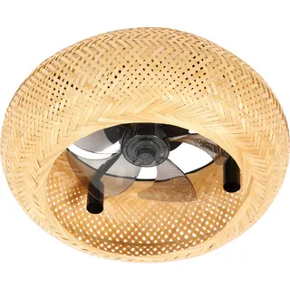 Ventilateur plafonnier FARELEK 112449
