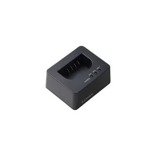 Chargeur secteur PANASONIC 252813