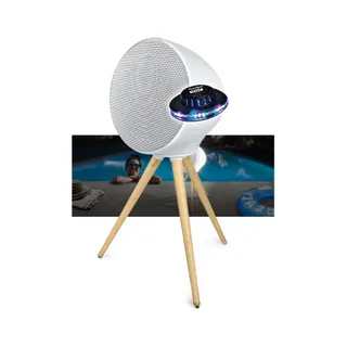 Enceinte nomade MUSE Enceinte portable Muse ML-655 BT, 100W,