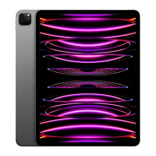 Tablette Apple IPAD Pro 12.9 M2 256Go Gris sidéral Cellular Reconditionné