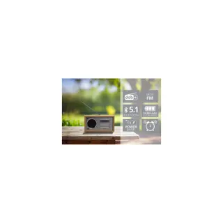 Radio DAB TELESTAR Radio DAB+ DIRA S21i+ EWF Bluetooth